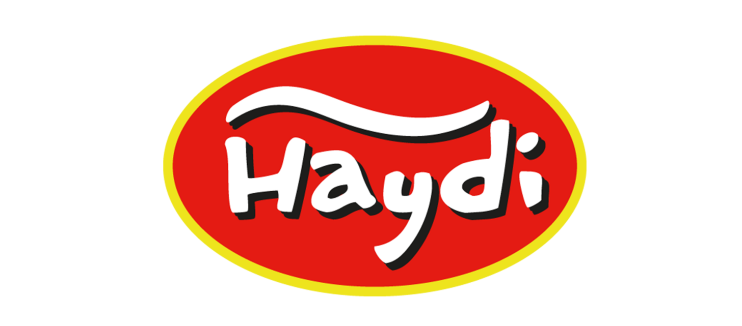 Logo Haydi