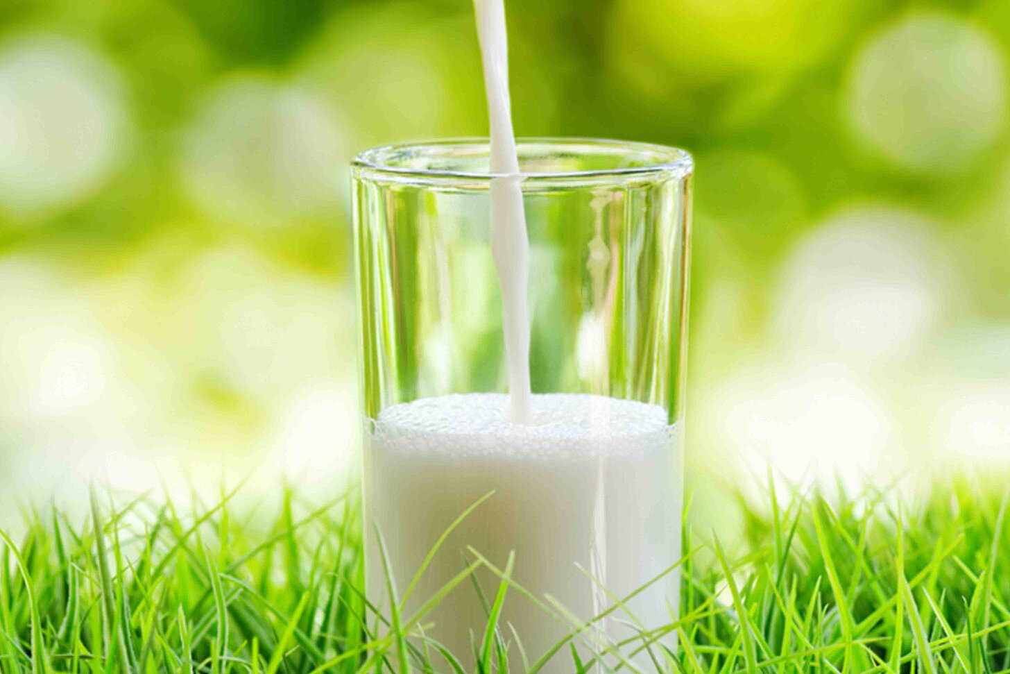 Milchglas im Gras