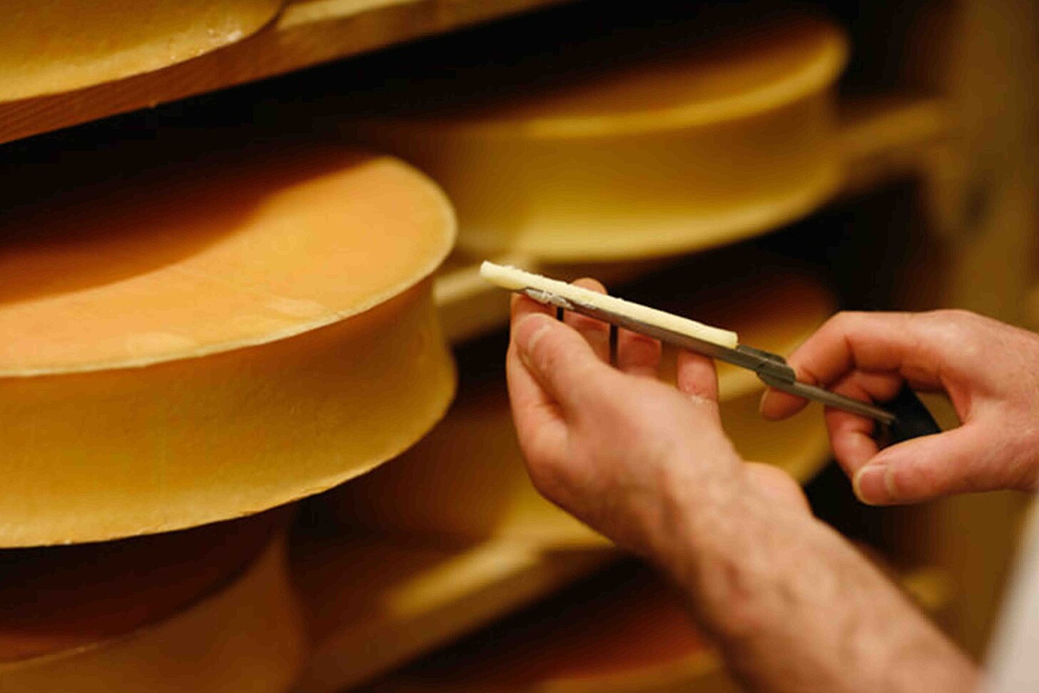 Qualitätssicherung Käse